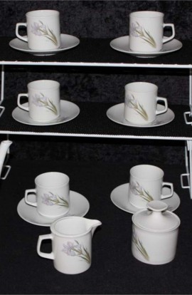 Bavaria Marktleuthen Winterling Iris Pattern Fine Bone China Vintage Tea or Coffee Set , A 17 Piece Set , Service for Six